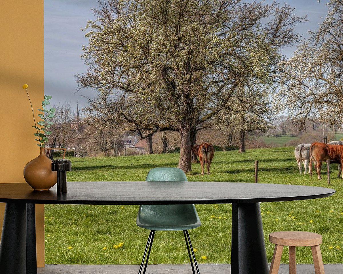 Raumvorschau