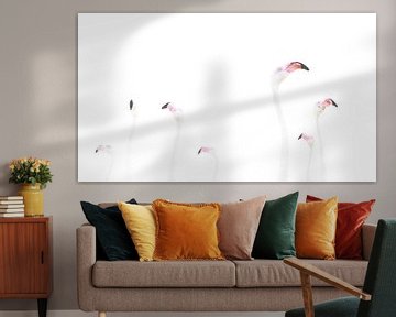 Flamingo’s in Minimalistische Schoonheid van Alex Pansier