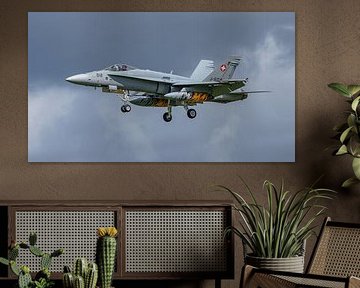 Le McDonnell Douglas F/A-18C Hornet suisse.