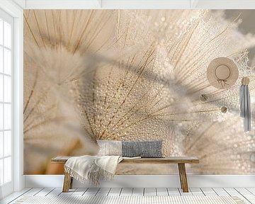 Tiny water droplets on the fluff of the morning star (Tragopogon) by Marjolijn van den Berg