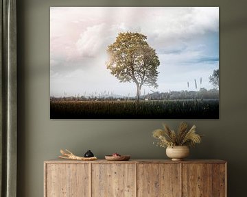 Boommagie van ARTworks77