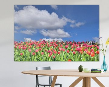 Tulpen in bloei in de lente van Claude Laprise