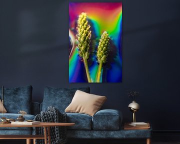 Regenbogen-Müsli 2