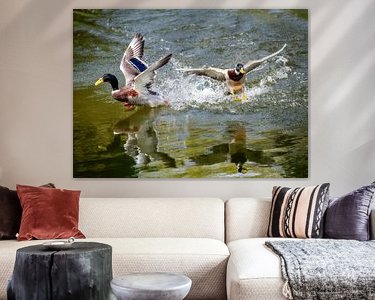 Aperçu de la chambre