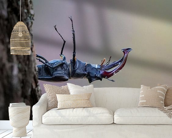 Aperçu de la chambre