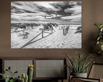 Tarifa strand aan zee in Andalusië / Spanje in zwart-wit van Manfred Voss, Zwart-Wit Fotografie