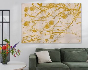 Korenbloemen in goudgeel en wit. Retro stijl. van Dina Dankers