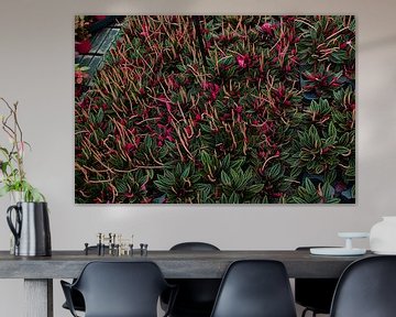 Colourful flowers by Dennie de Jong
