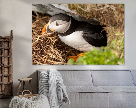 Aperçu de la chambre