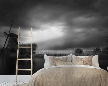 Magisches Kinderdijk in B&W. Ausgezeichnetes Bild.