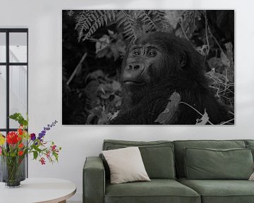 Gorilla, Oeganda, Zwart Wit van Oscar Kroon