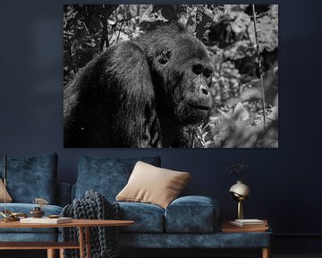 Silverback Gorilla, Oeganda, Zwart Wit van Oscar Kroon