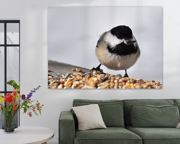 A tit at the garden feeder by Claude Laprise