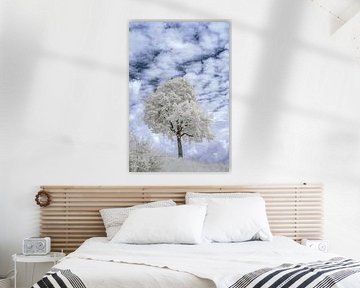 Der Baum in Infrarot