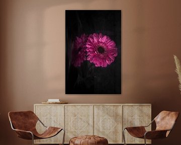 Reflexion Gerbera-Blume