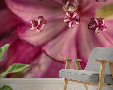 Picturesque mirror image of a pink Zeeland knot (Astrantia Major) by Marjolijn van den Berg