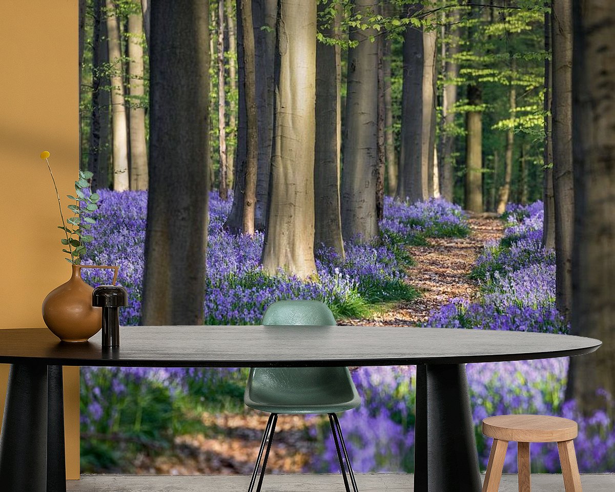 Raumvorschau