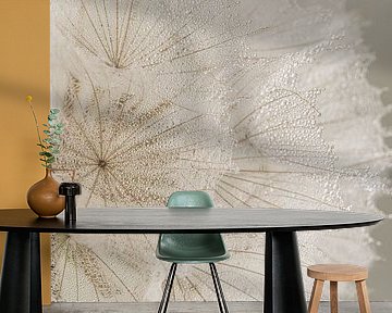 Natural country colours: A fluffy ball of a Morning Star (Tragopogon) by Marjolijn van den Berg