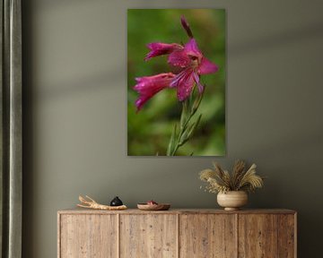 Bloemen in de middeleeuwse tuin.1 van Daniëlle Eibrink Jansen