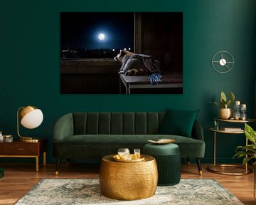 Serene Wasbeer in het Maanlicht: Ontspannen Moment op een Houten Tafel van Elianne van Turennout