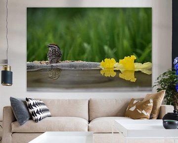 A bird in the garden by Claude Laprise