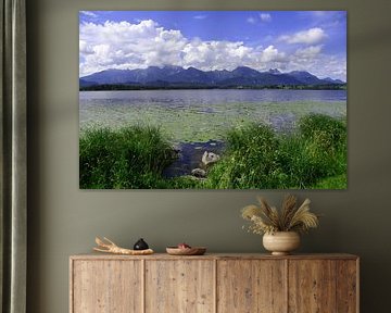 Hopfen am See in Allgäu Bavaria Germany by Karl-Heinz Petersitzke