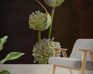 Still life. Onion bulbs on vase. by Alie Ekkelenkamp