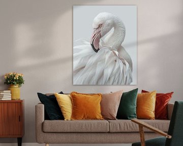 Witte Flamingo van Sander Hupkes