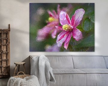Clematis by Rob Boon
