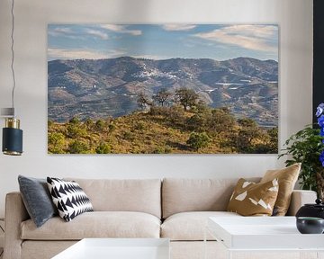 Spanish landscape in the Campo