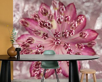 Square with a Zeeland knot (Astrantia Major) with a blended background by Marjolijn van den Berg