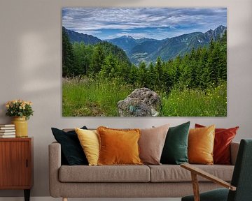 Panorama in the French Alps by Tanja Voigt