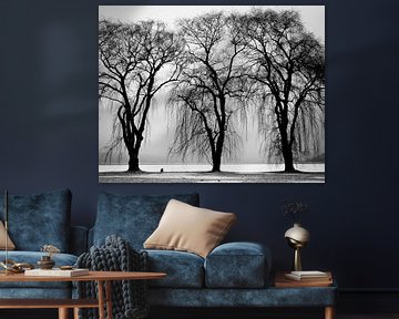 Drie bomen von Judith Robben