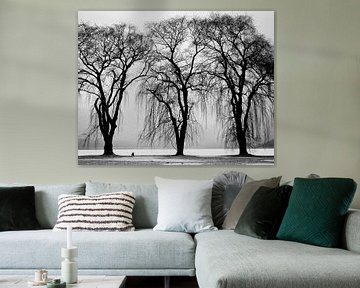 Three trees by Judith Robben