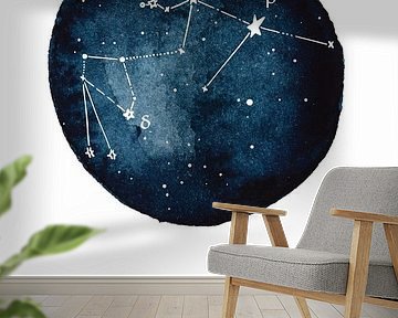 Astrologisch teken Waterman van Alina Buffiere by The Artcircle