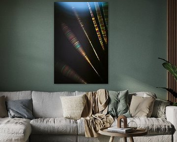 Abstract spinnenweb 2 van Anne Ponsen