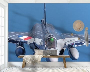 Rafale Solo Display Team 2022.