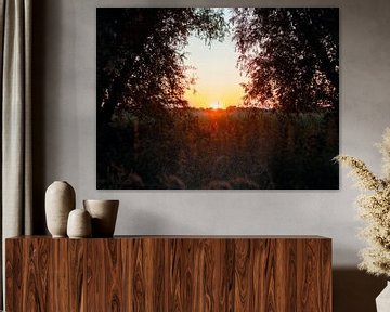 Zonsondergang tussen de bomen