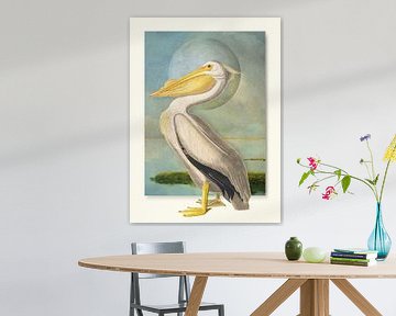 American White Pelican van Marja van den Hurk