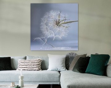 Pluis in een rustige koele omgeving. Blauw. van Alie Ekkelenkamp