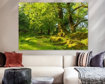 Killarney (Ireland) by Marcel Kerdijk