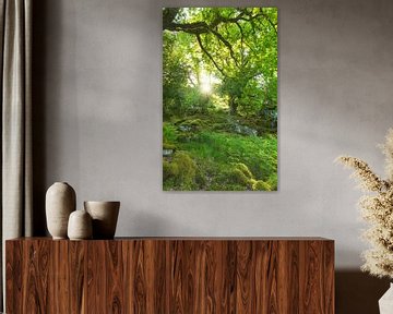 Killarney (Ireland) by Marcel Kerdijk