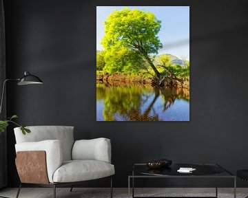 Killarney (Ireland) by Marcel Kerdijk