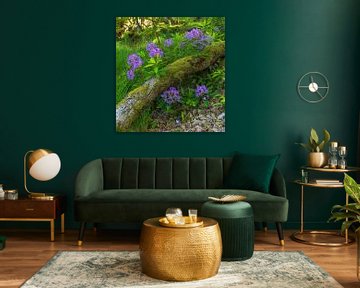 Killarney (Ireland) by Marcel Kerdijk