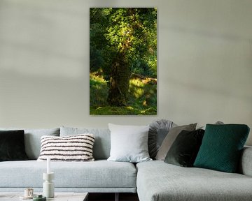 Killarney (Ireland) by Marcel Kerdijk