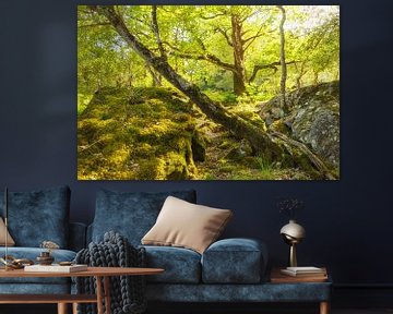 Killarney (Ireland) by Marcel Kerdijk