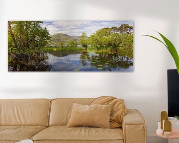 Killarney (Ireland) by Marcel Kerdijk