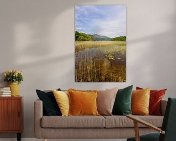 Killarney (Ireland) by Marcel Kerdijk