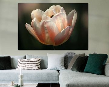 Close-up van roze bloem in bloei