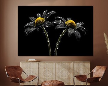Zwart-wit bloemen met waterdruppels van De Muurdecoratie